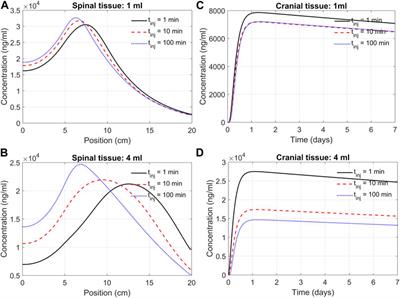 A mechanistic pharmacokinetic model for intrathecal administration of antisense oligonucleotides